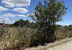 Entorno